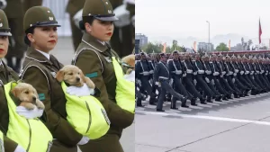 Parada Militar perritos