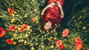 Primavera