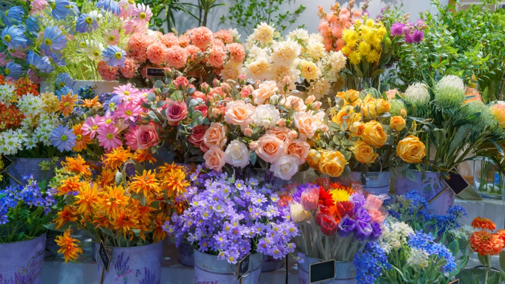 flores