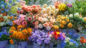 flores