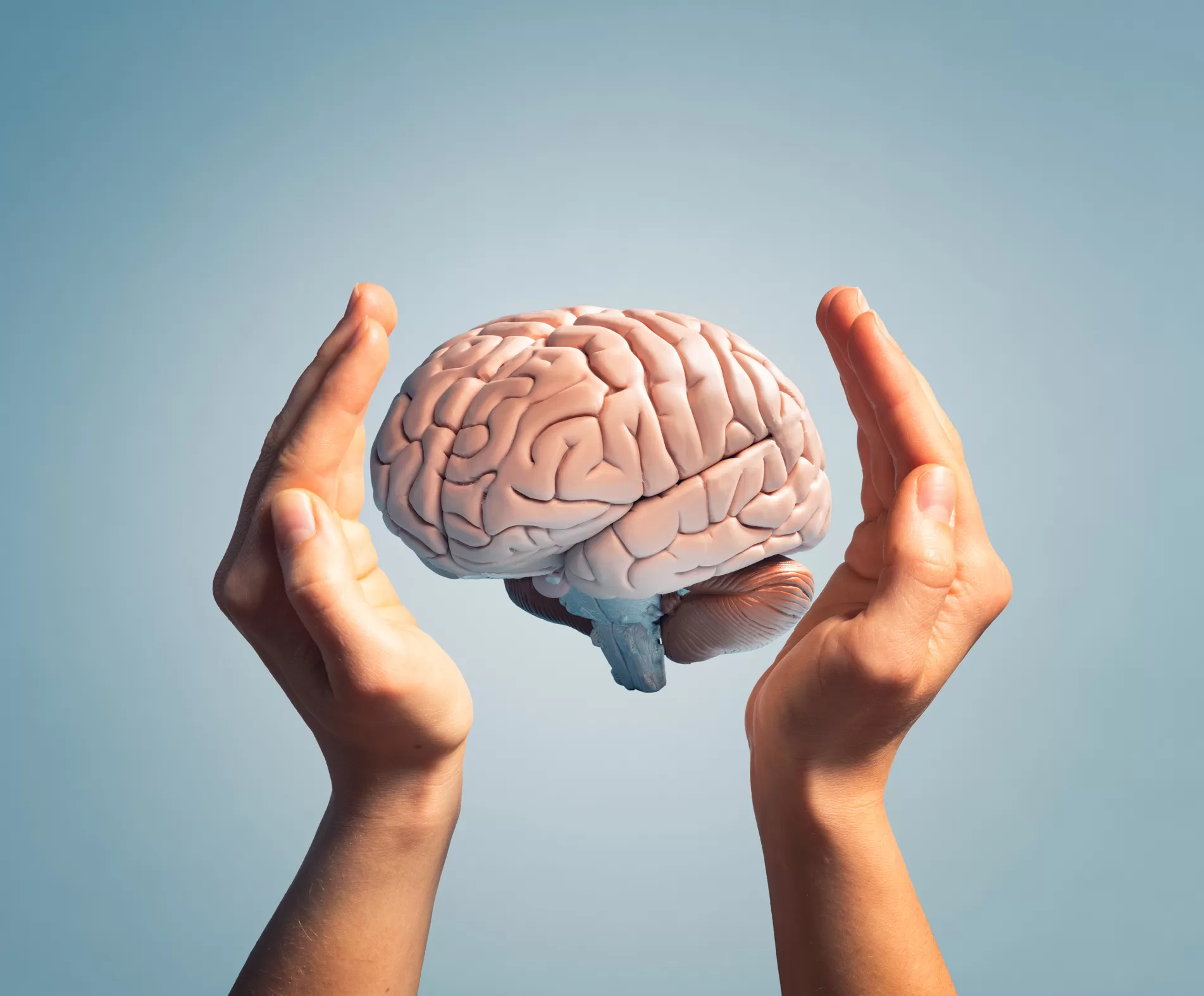 Cerebro