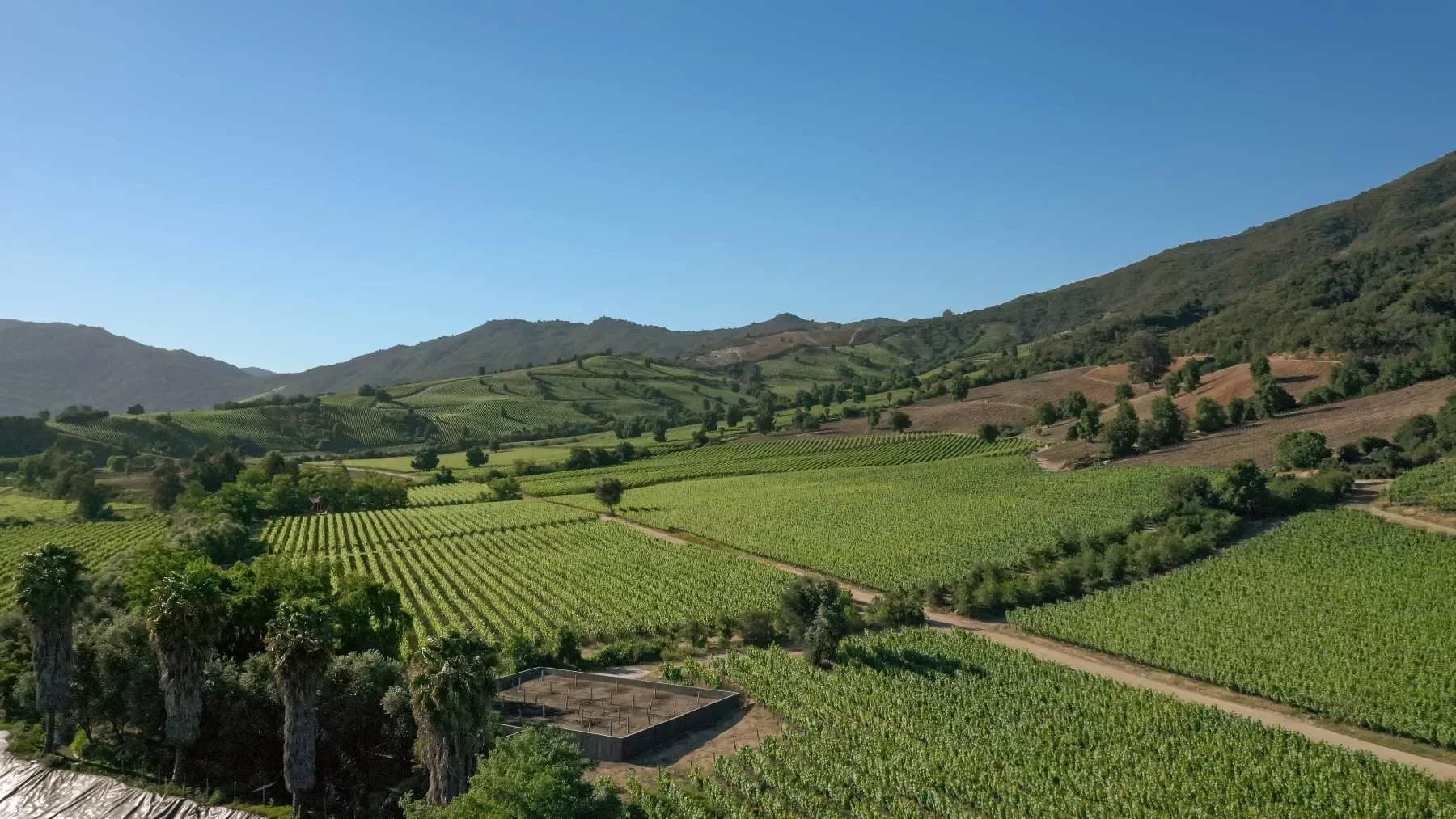 Colchagua