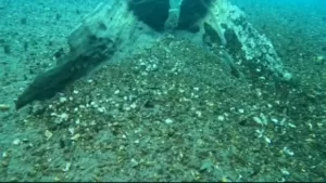 Descubrimiento lago Llanquihue