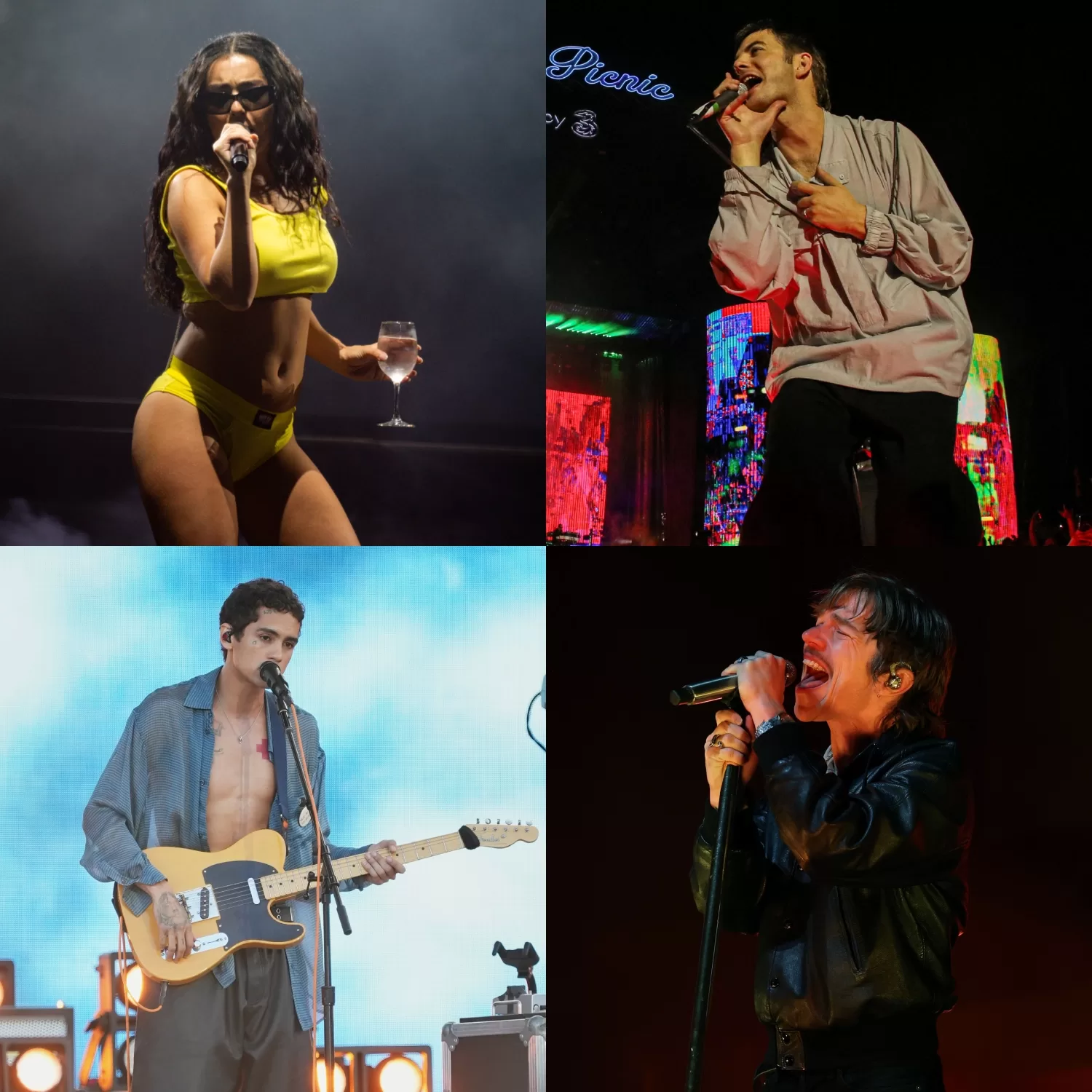 Lollapalooza rechzos (1)
