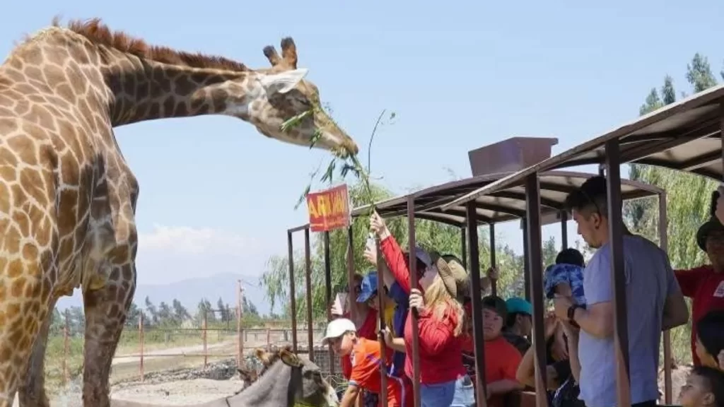 Parque Safari
