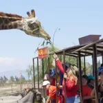 Parque Safari