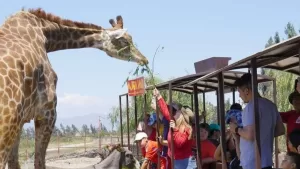 Parque Safari