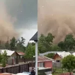 Tornado web