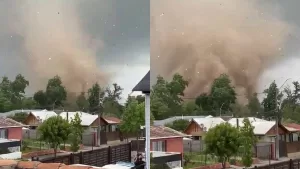 Tornado web