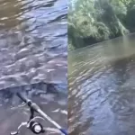 cuero