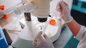 fertilización asistida