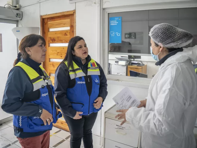 seremi salud quesos matthei